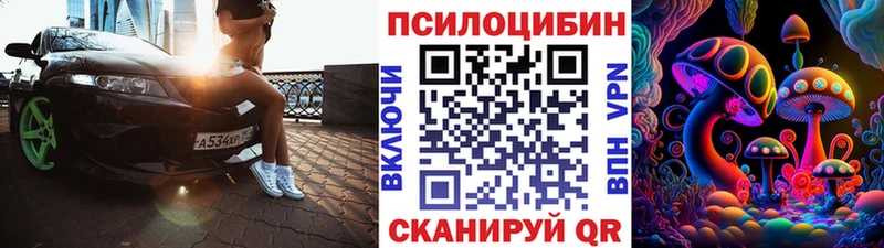 где купить наркотик  darknet формула  Псилоцибиновые грибы Cubensis  Вихоревка 